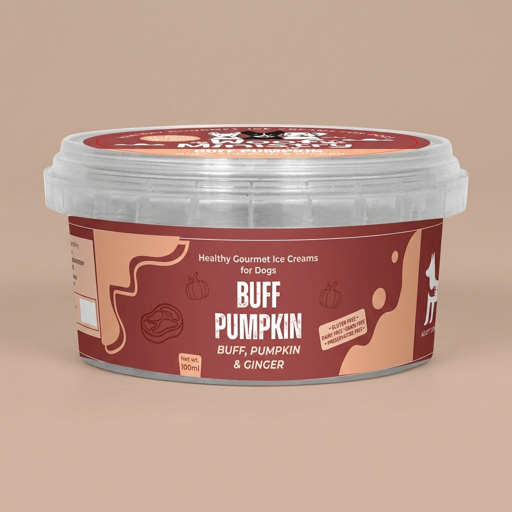 Buff & Pumpkin Dairy Free Icecream