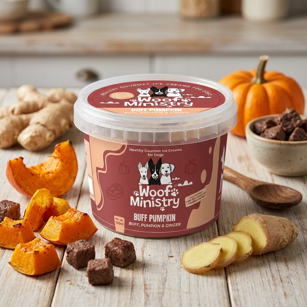Buff & Pumpkin Dairy Free Icecream