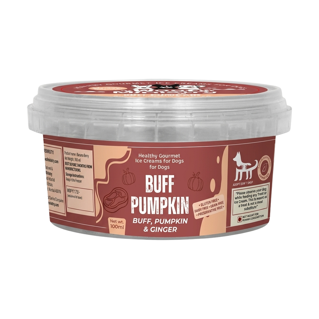 Buff & Pumpkin Dairy Free Icecream