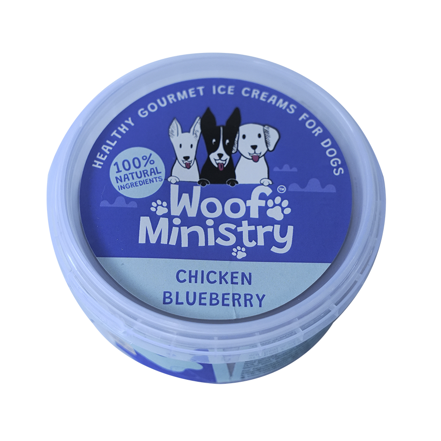 Chicken Blueberry Ice-Cream