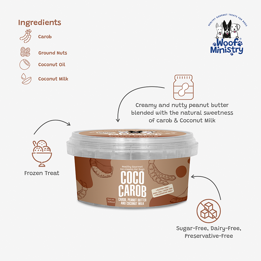 Coco Carob Ice-Cream