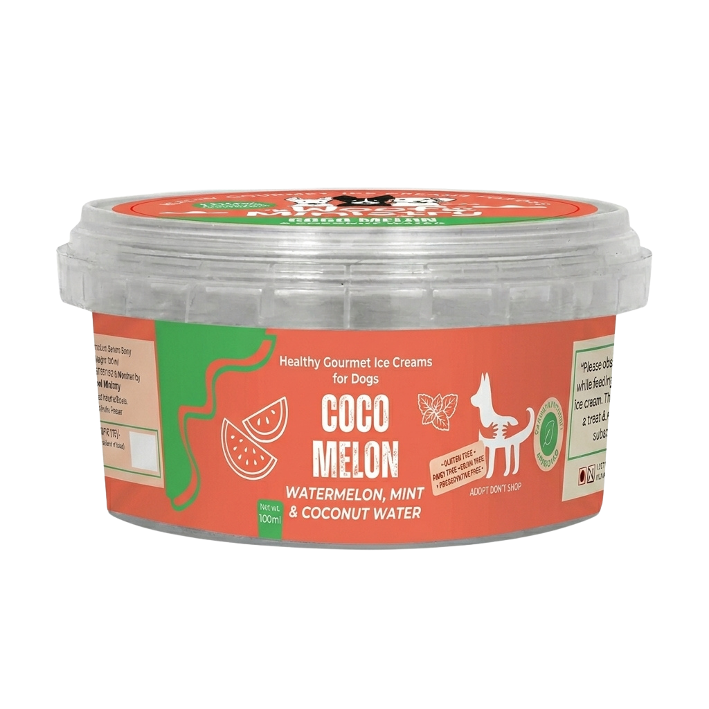Coco Melon Dairy Free Icecream 100 ml