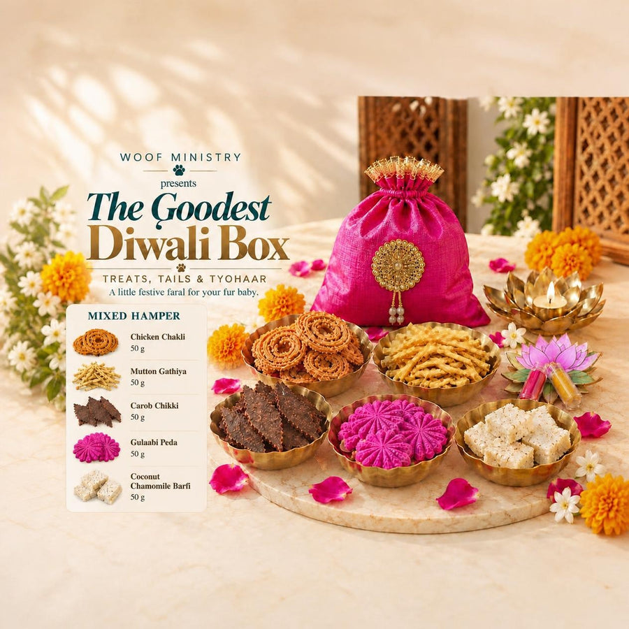 Woof Ministry Mixed Diwali Hamper with five dog treats, diya and haldi-kumkum set