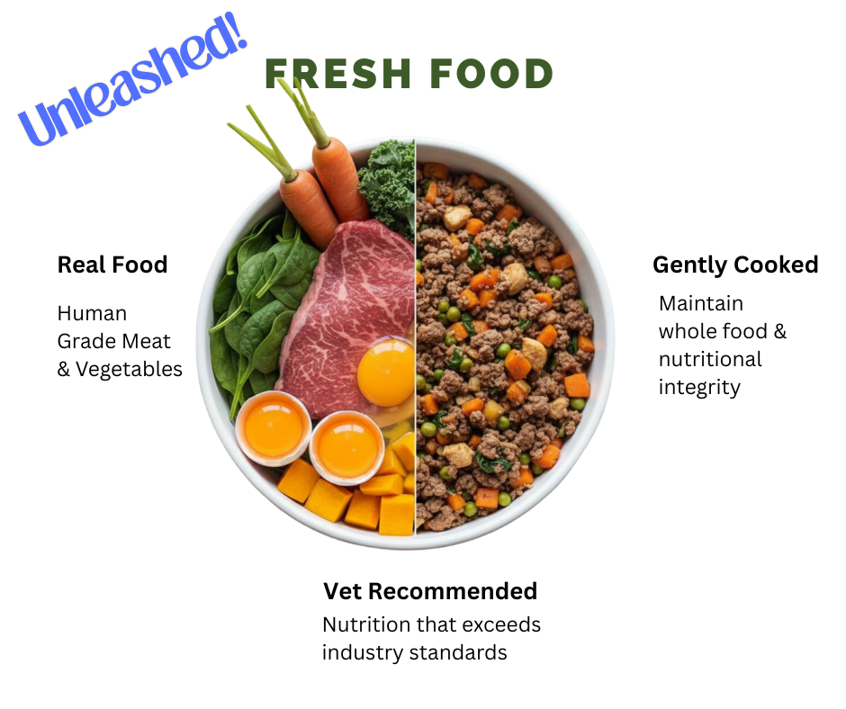 Meal Plan Consultation