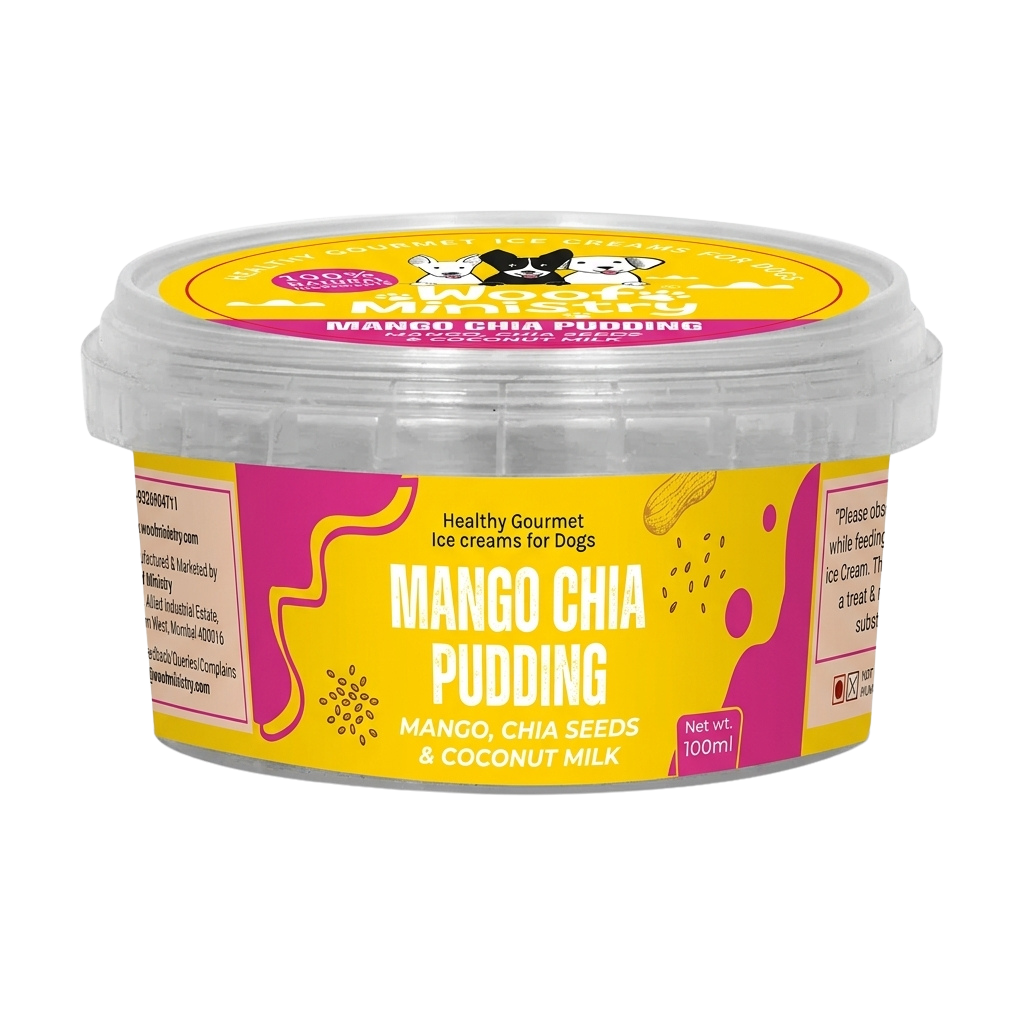 Mango Chia Pudding Dairy Free Icecream